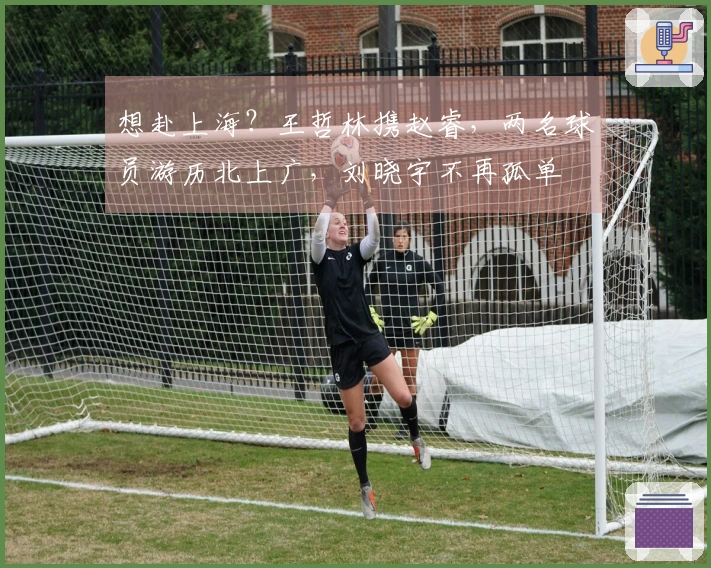 想赴上海？王哲林携赵睿，两名球员游历北上广，刘晓宇不再孤单