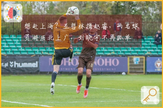 想赴上海？王哲林携赵睿，两名球员游历北上广，刘晓宇不再孤单