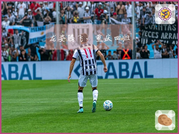 龙姿腾飞，重庆回归